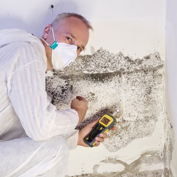 assechement des murs